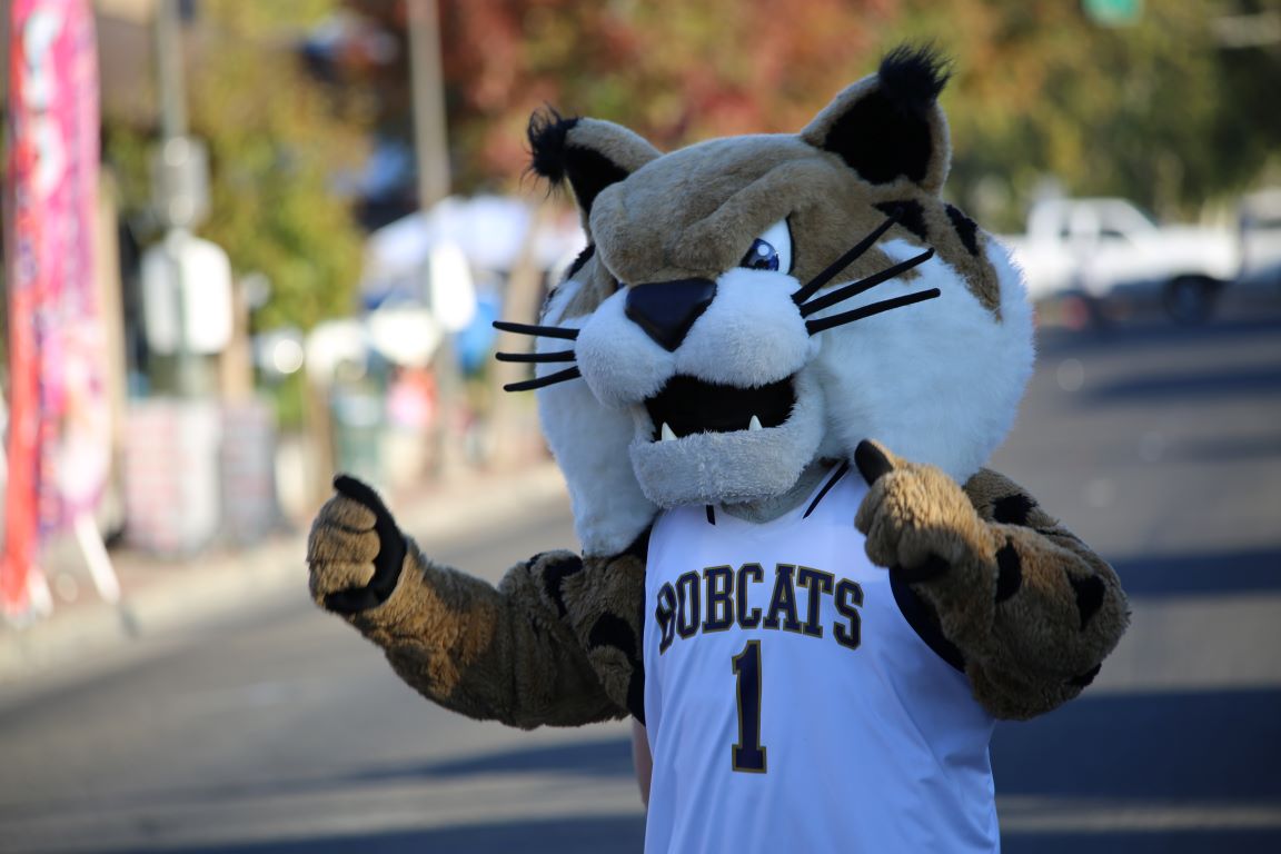 Veterans on campus